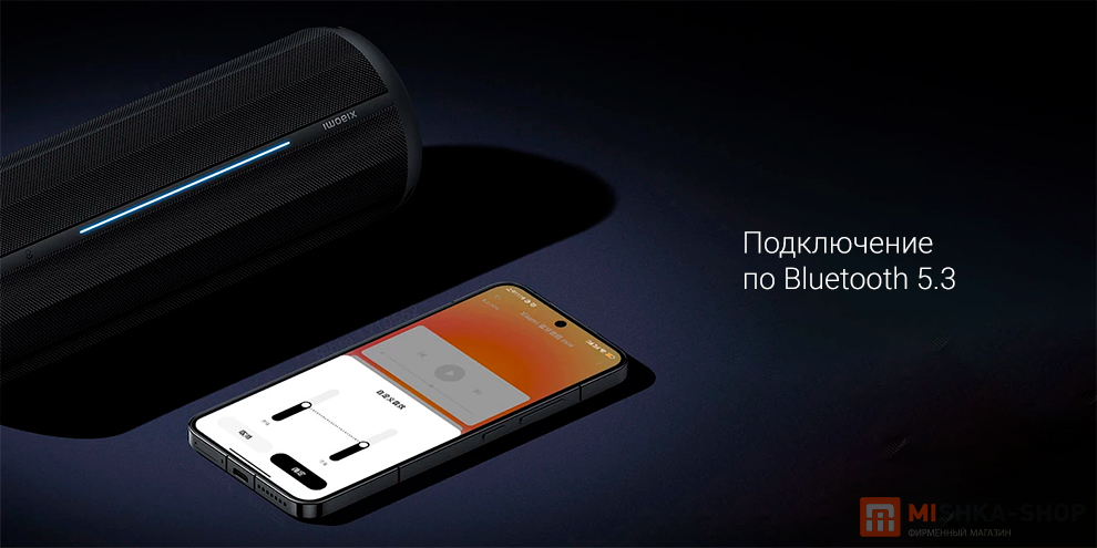 Xiaomi Bluetooth Speaker Xiaomi Bluetooth Speaker